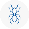Ant Removals In Patchway