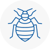 Bed Bug Extermination In Patchway