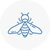 Bee Nest Removal Patchway