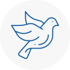 Bird Prevention Patchway