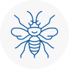 Patchway Hornet Nest Removals