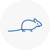 Mice Exterminators In Patchway