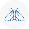 Moth Control Specialists In Patchway