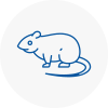 Rat Control Patchway