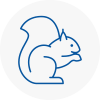 Patchway Rodent Removals