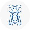 Patchway Wasp Nest Removal